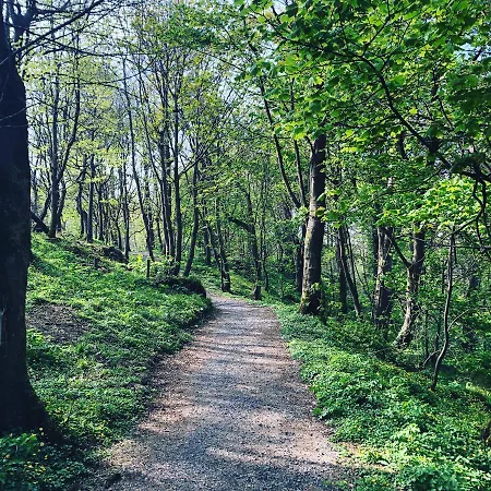 The Waterside Bed & Breakfast