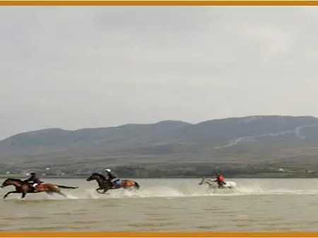 The Waterside Oda ve Kahvaltı