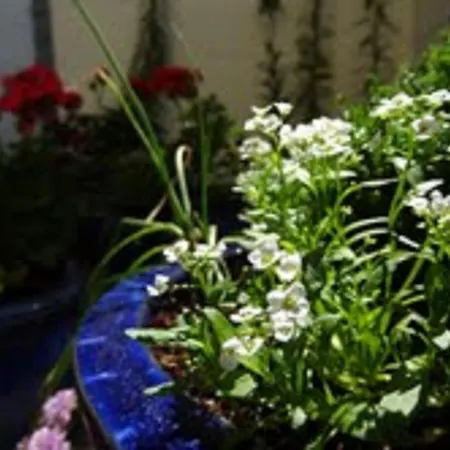 فندق مبيت وإفطار The Waterside ويستبورت